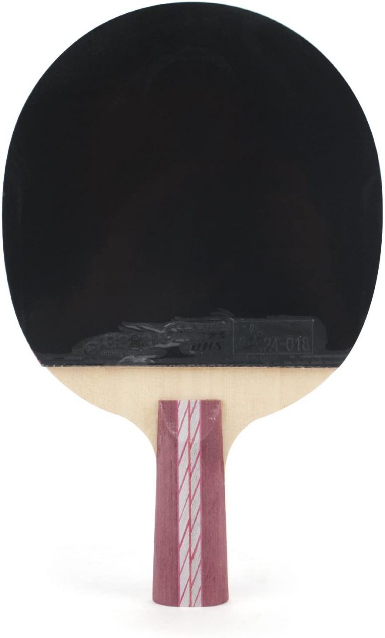 Best Ping Pong Paddles 2024 - Reviews & Buying Guide