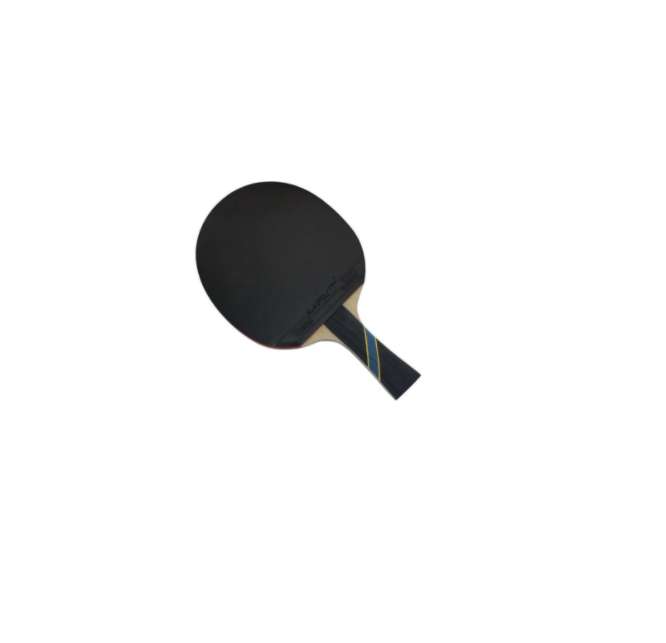 Mapol Quality Ping Pong Paddle