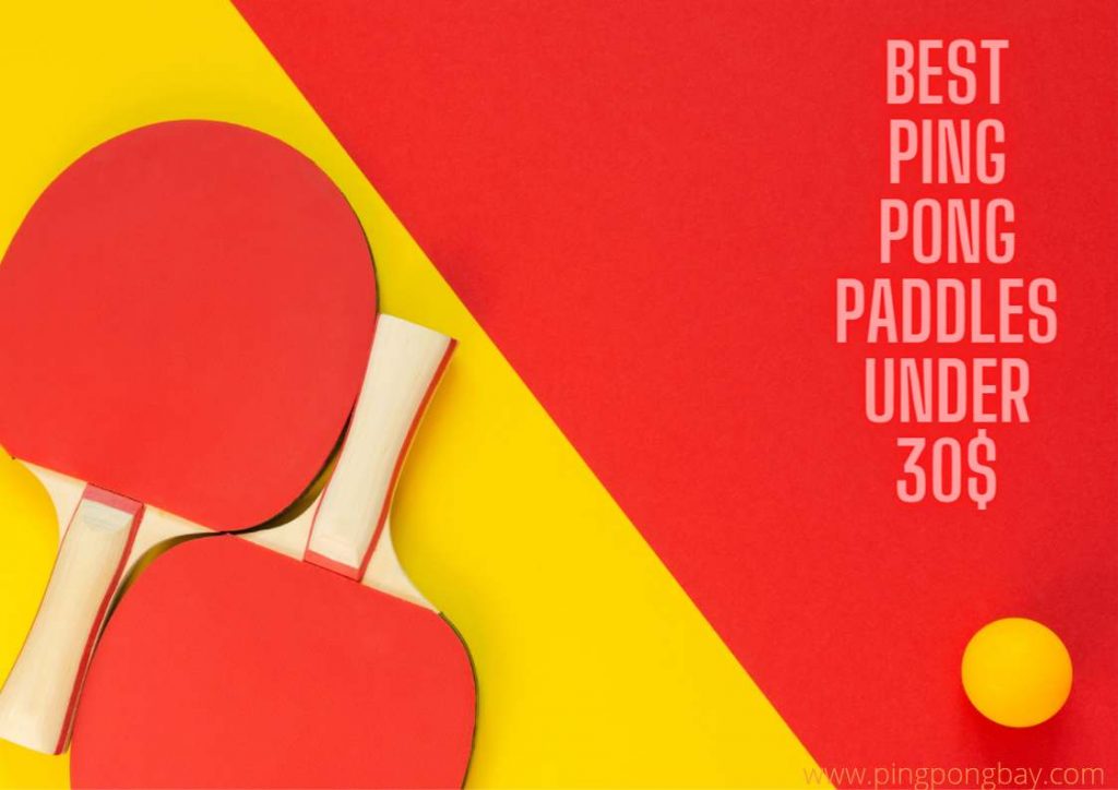 Best Ping Pong Paddles Under $30